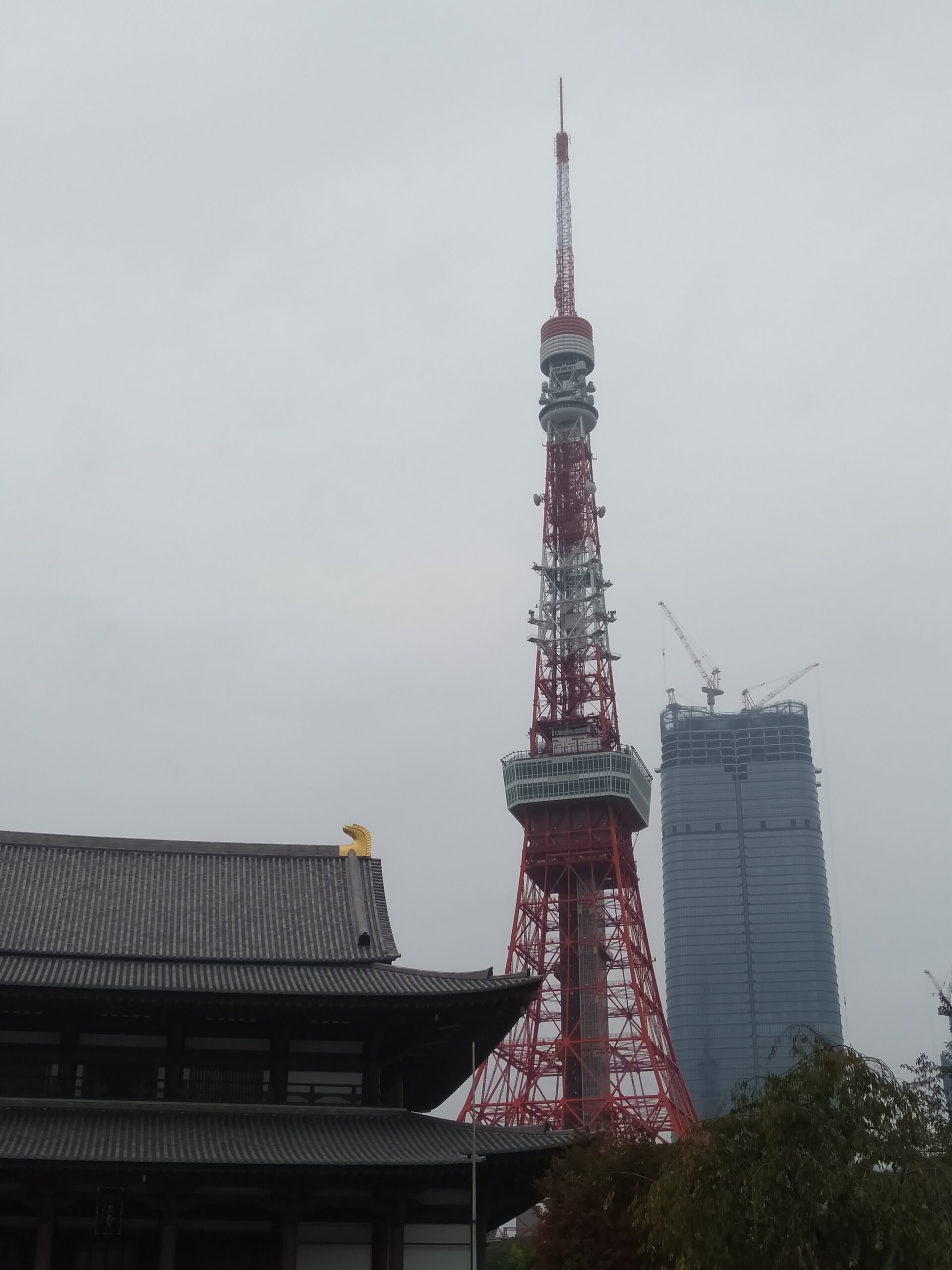 増上寺からみた東京タワー